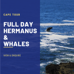 CAPE HERMANUS TOURS