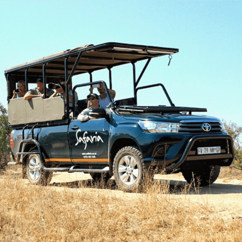 Kruger National Park Safari Tour