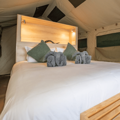 Safaria_Langa Langa Camp Kruger National Park 3