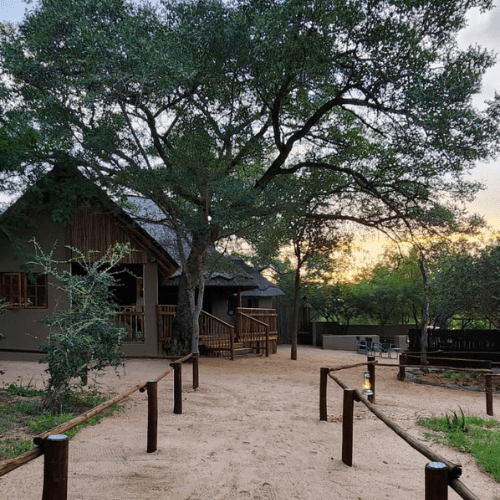 Safaria_Langa Langa Camp Kruger National Park 8