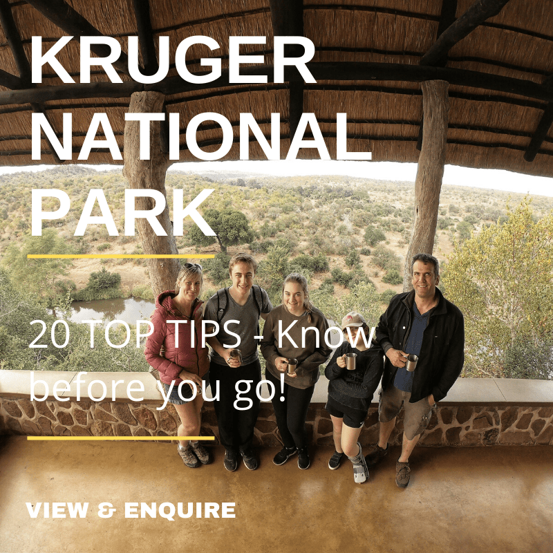 20 Top Tips to visit the Kruger National Park