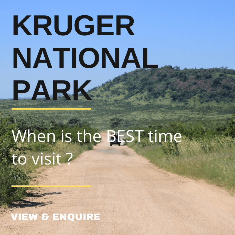 When is the best time to travel in the Kruger National Park