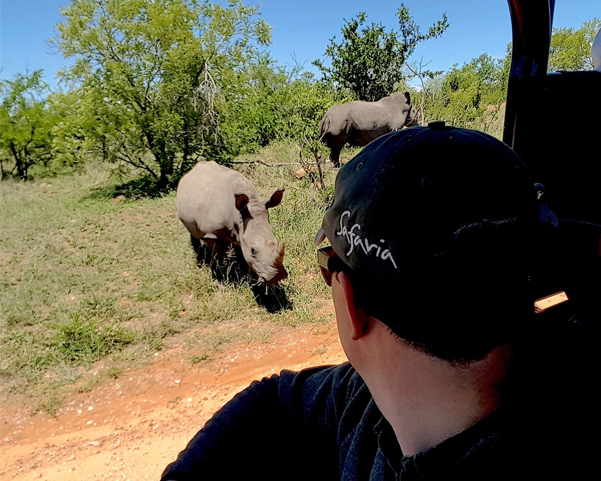 Safaria Rhino up close