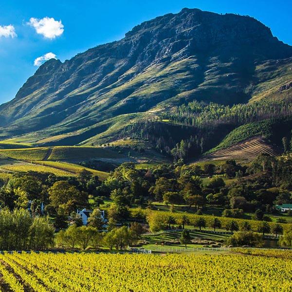 Cape Winelands Feat