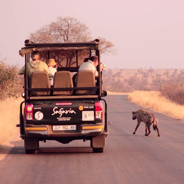 Day Safaris