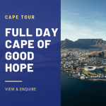CAPE OF GOOD HOPE TOURS