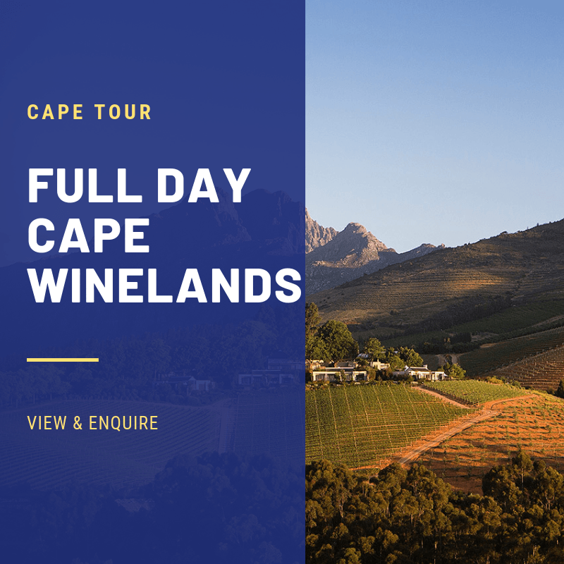 CAPE WINELANDS TOURS