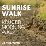 1 Sunrise KNP Walk