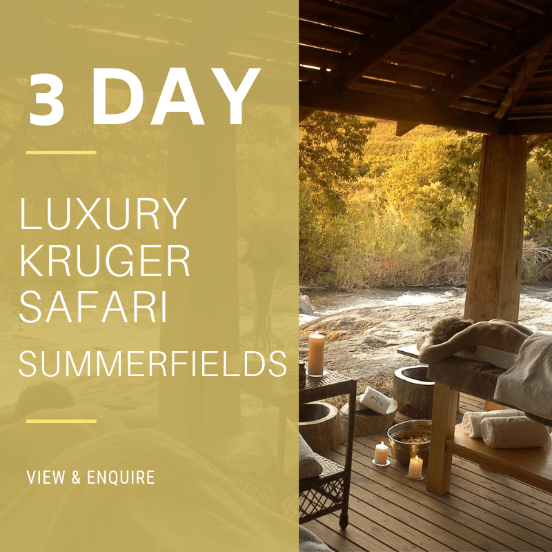 3 Day Lux KNP SF