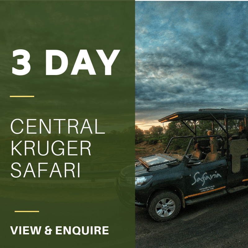 3 Day central KNP