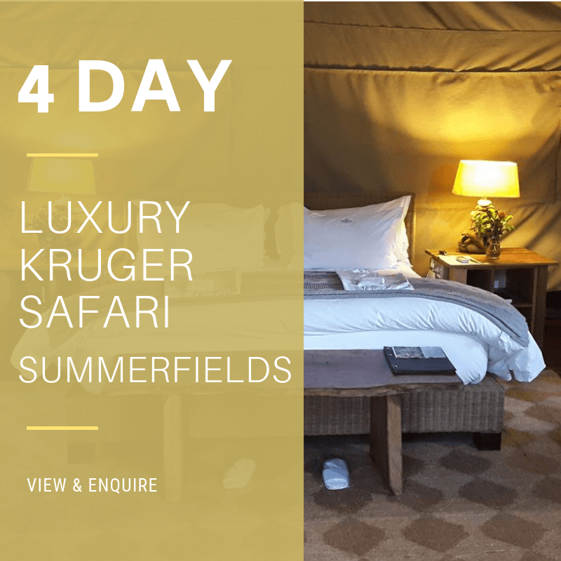 4 Day Lux KNP_SF