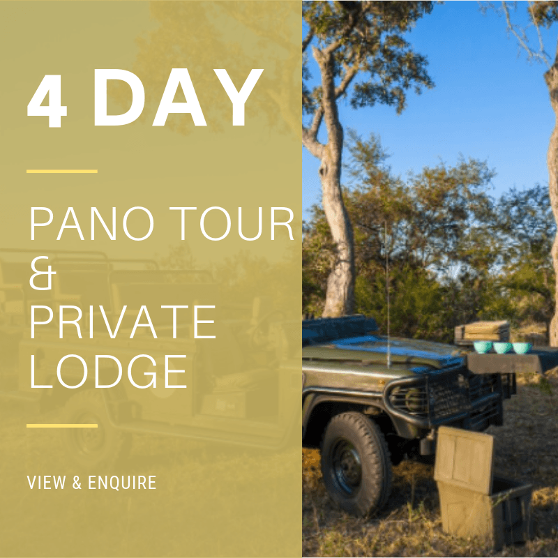 4 Day Pano & Private