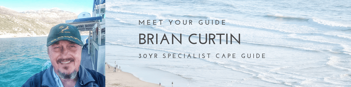 Brian Curtin