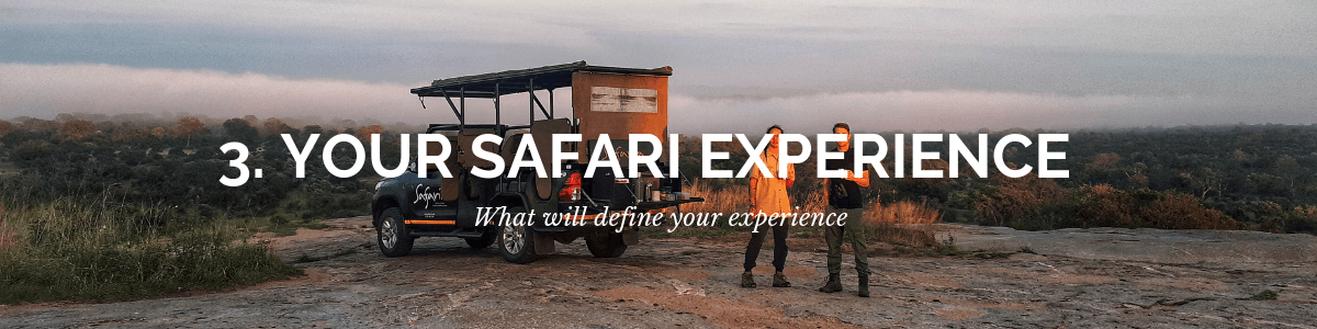 african safaris