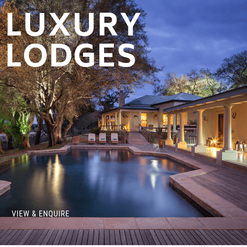 Luxury Lodges