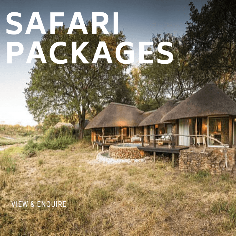 Safari Packages