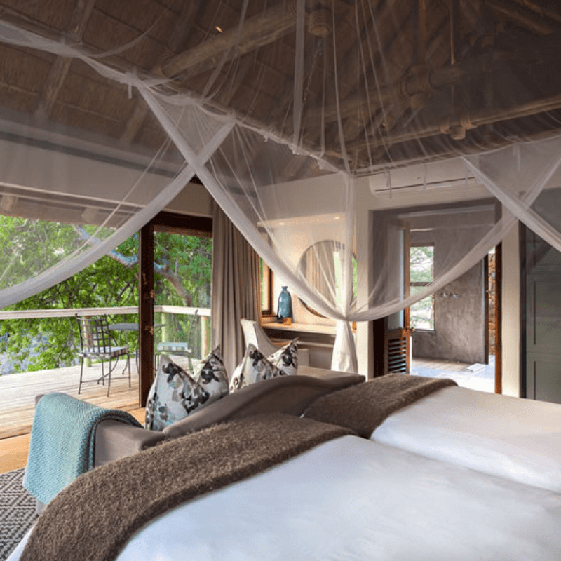 Thornybush