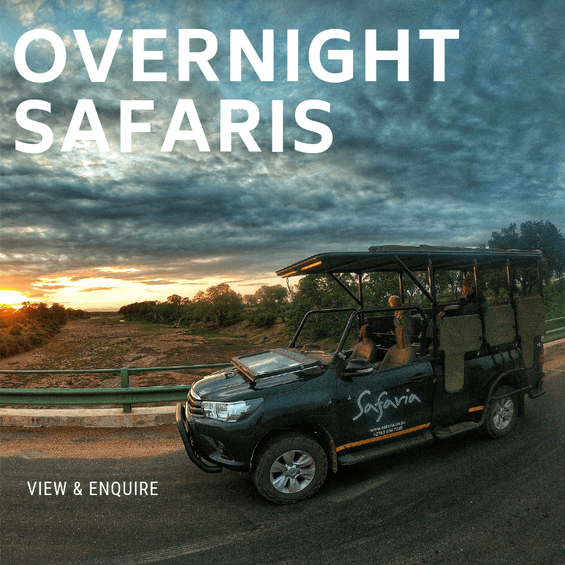 Overnight Kruger Park Safaris