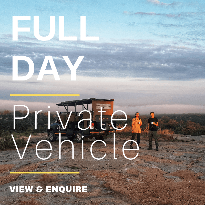 Full Day PVT Vehicle