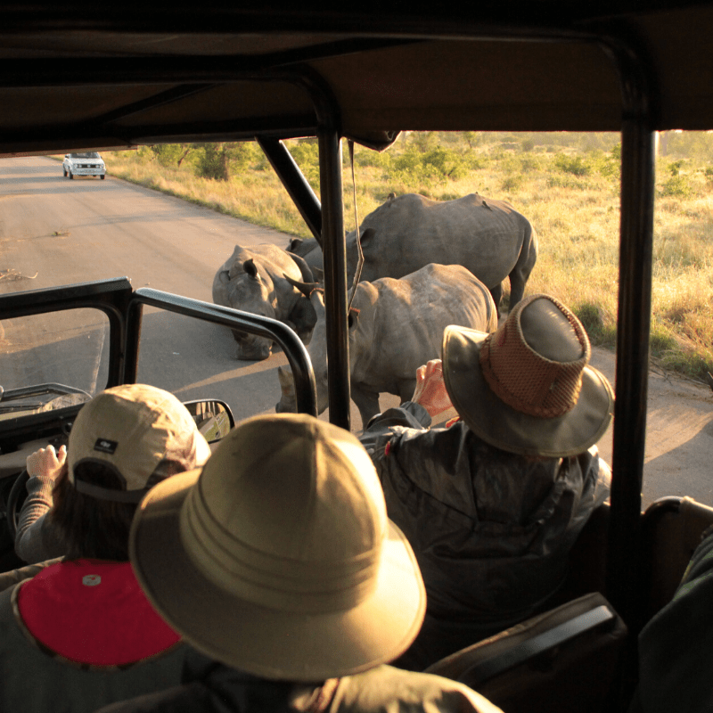 20.Full open safari vehicles