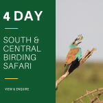 4 Day Kruger Birding Safari