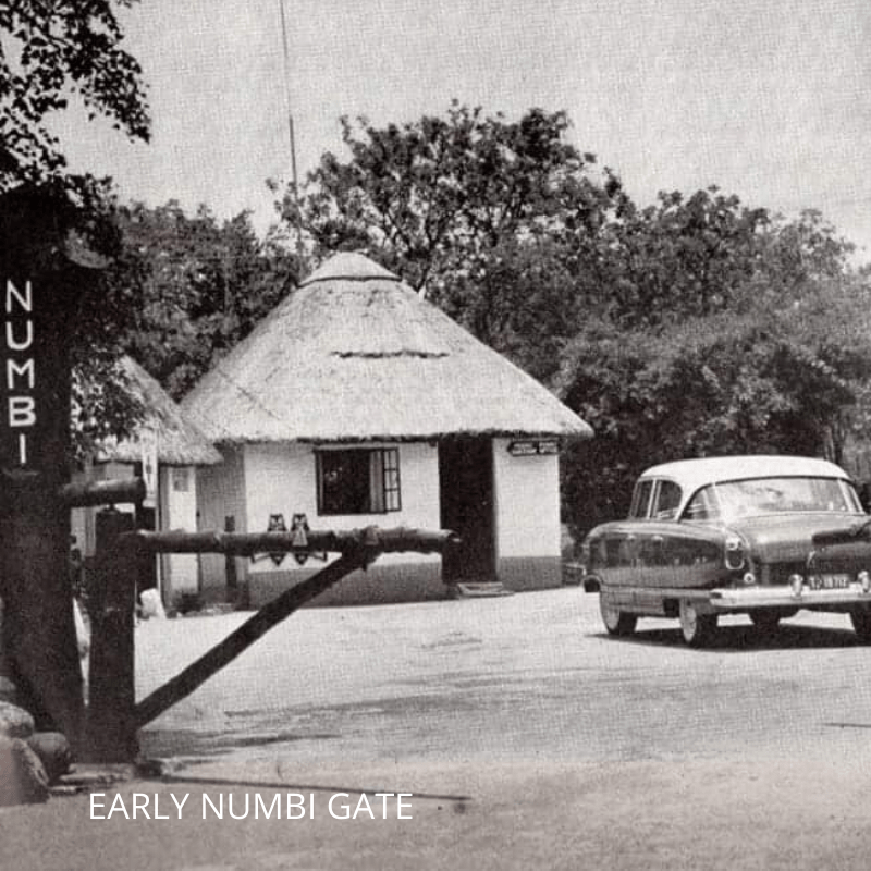 Early NUMBI Gate entrance