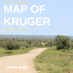 Map of the Kruger National Park