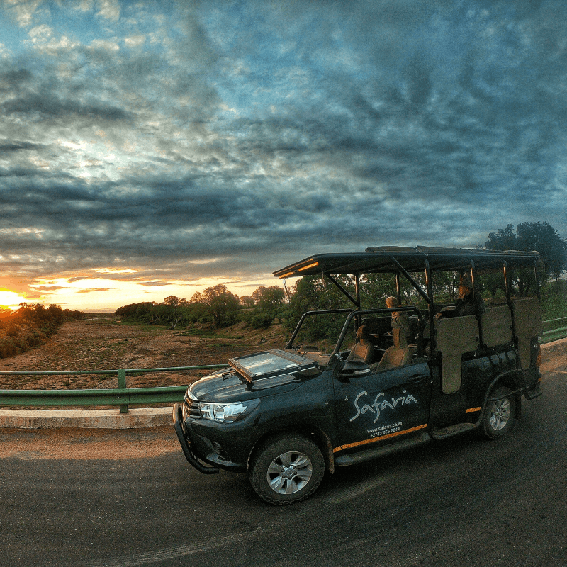 Private Kruger National Park Safari