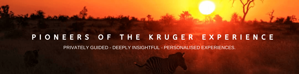 pioneers of the kruger experience 4