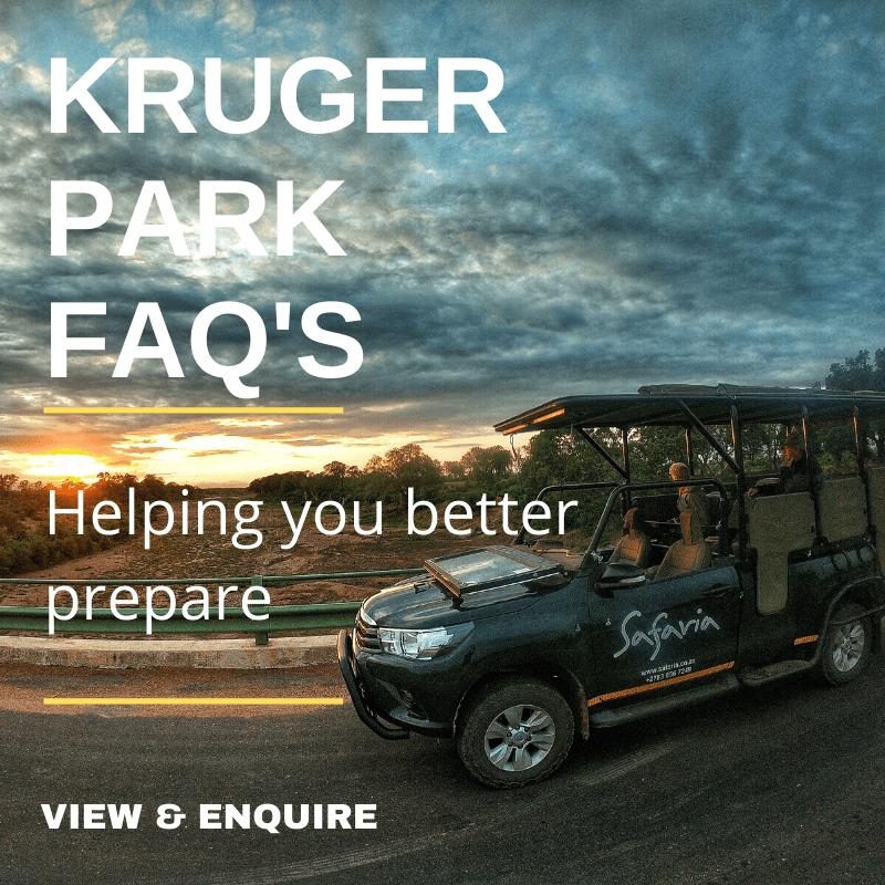 Kruger National Park Frequently Asked Questions