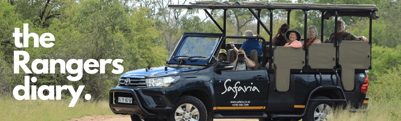 The Rangers diary KRUGER NATIONAL PARK