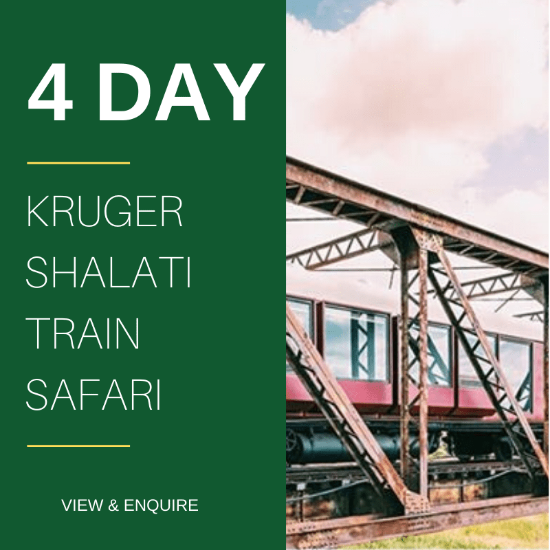 4 Day Kruger Train Safari Shalati