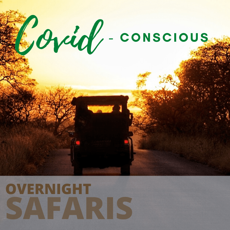 Covid concious overnight safaris