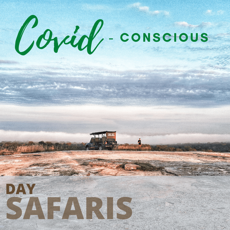 Covid conscious day safaris