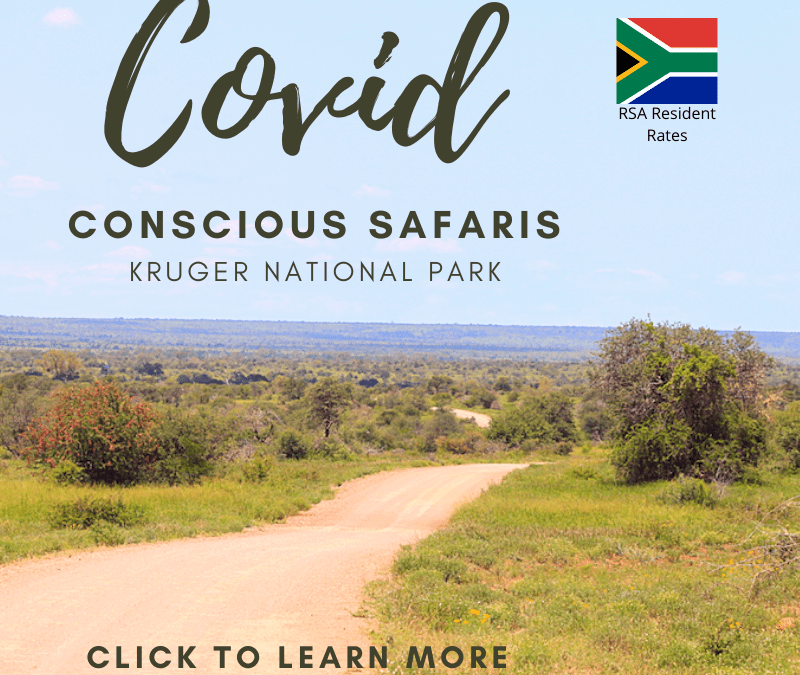 Covid conscious safaris kruger national park