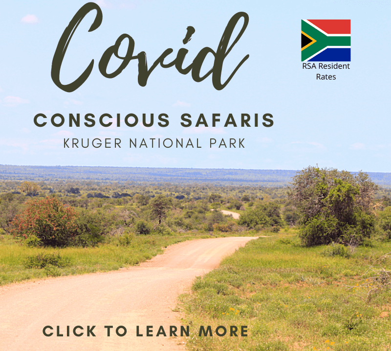 Covid conscious safaris kruger national park