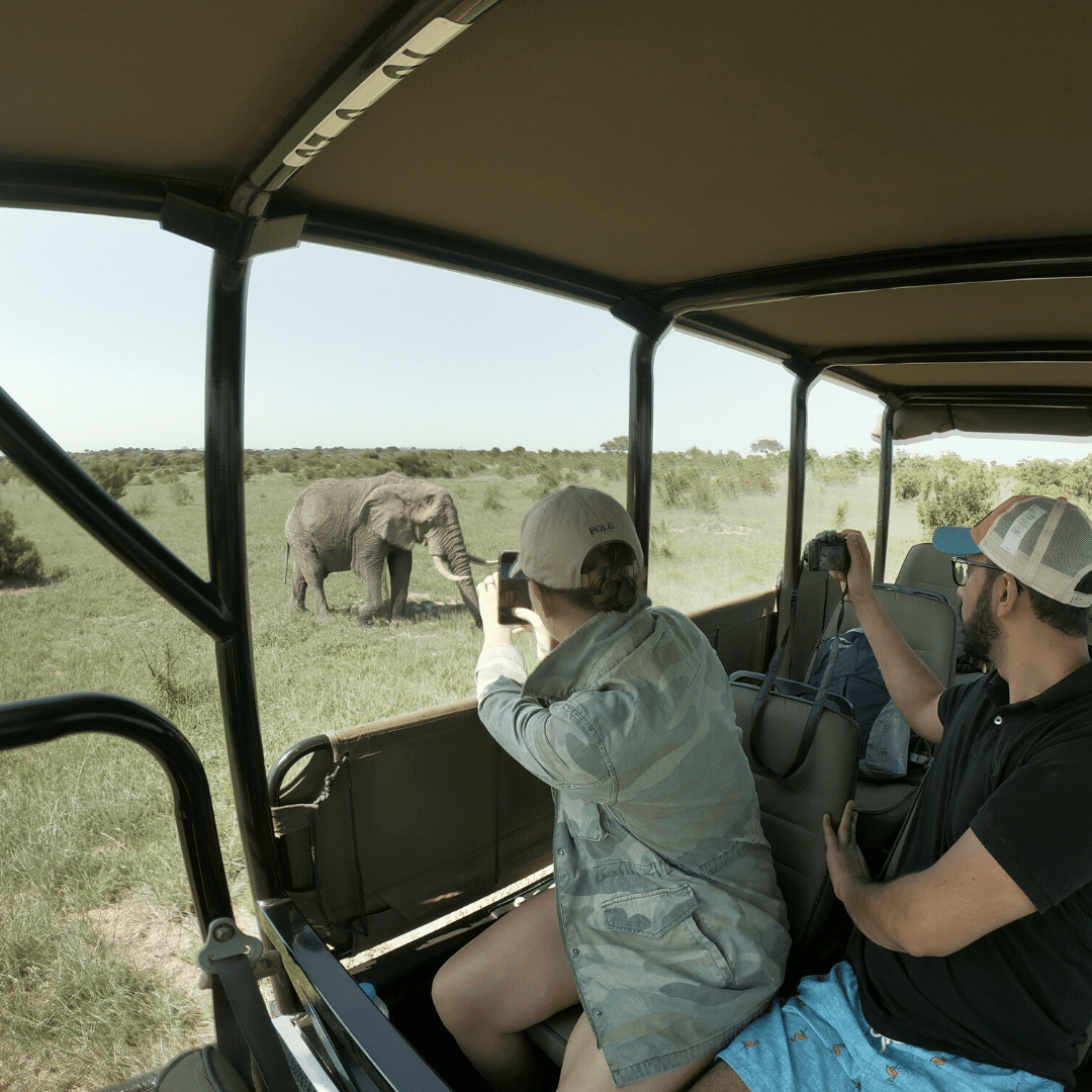 Safaria Kruger Park