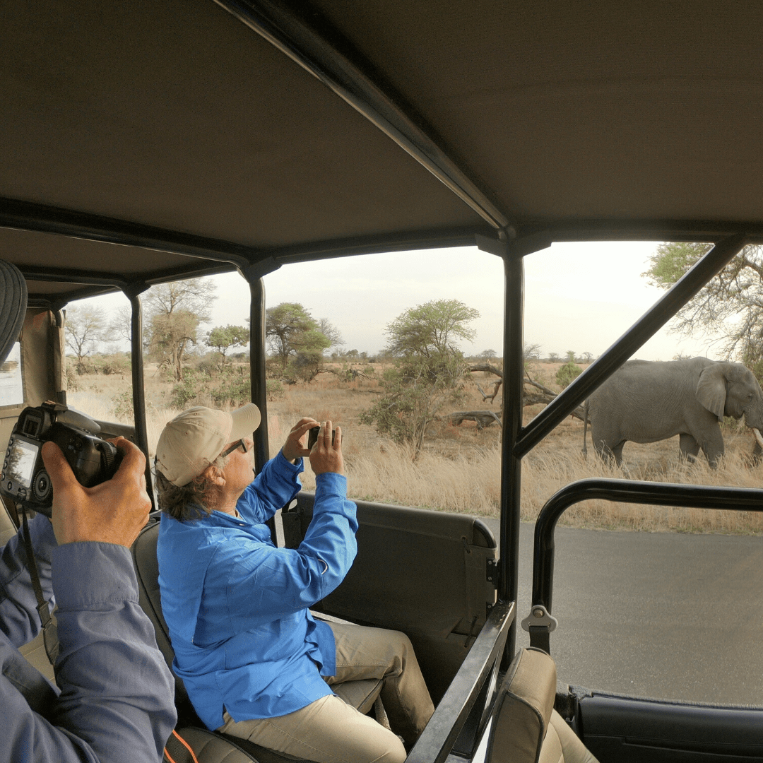 Safaria Kruger Park