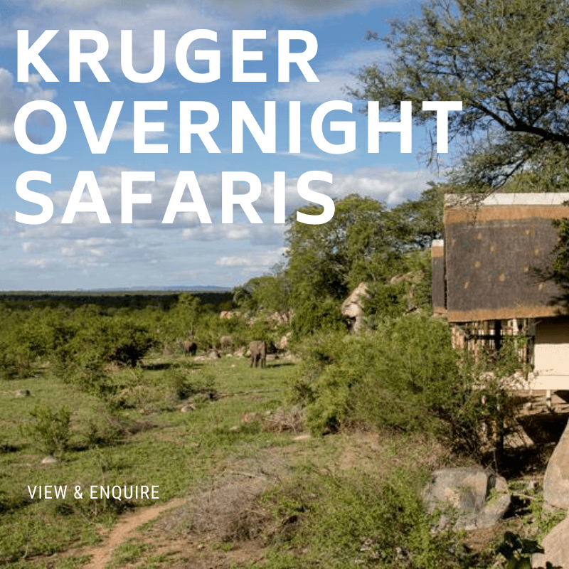 Kruger Overnight Safaris