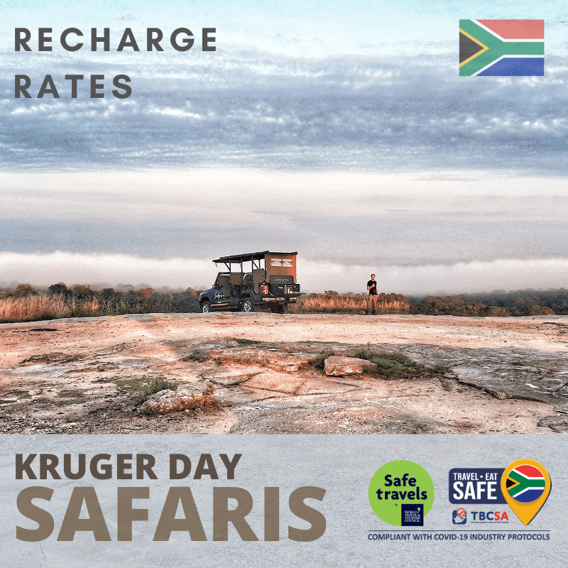 recharge safari rates