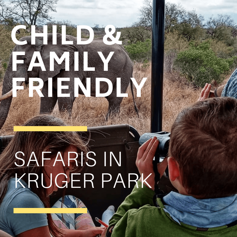 Child friendly kruger safaris