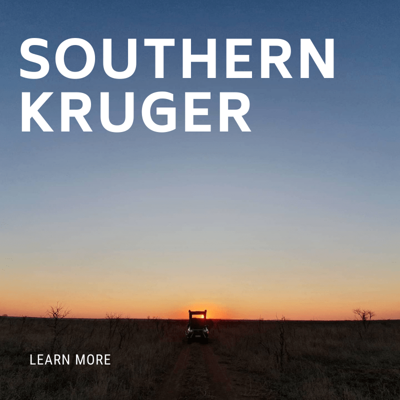 Southern Kruger 1