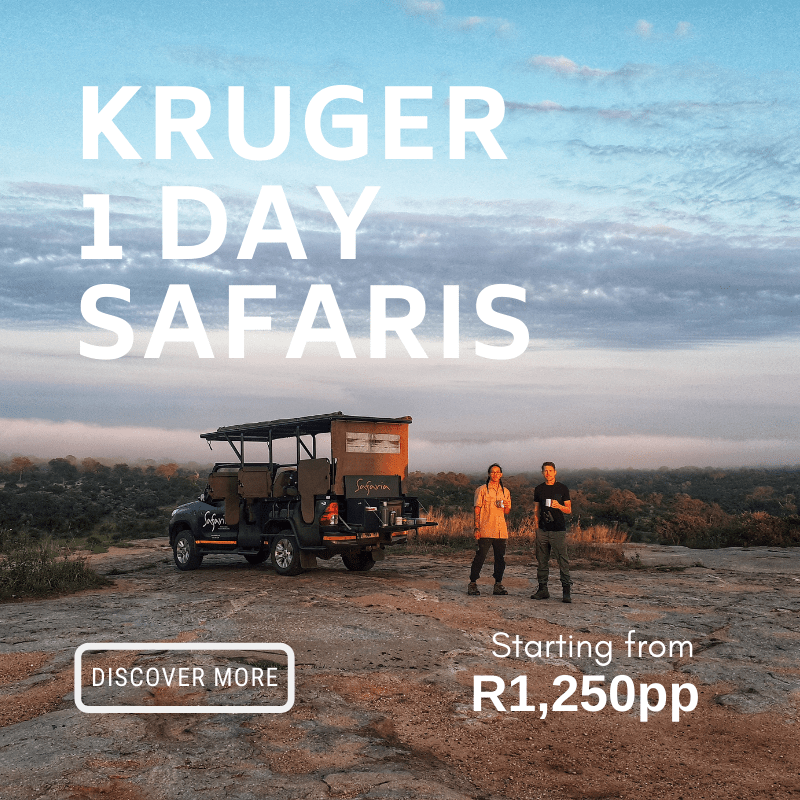 Kruger Day Safaris from R1250