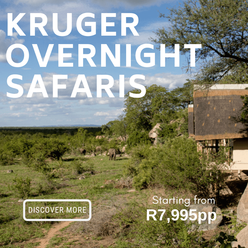 Kruger Overnight from R7995