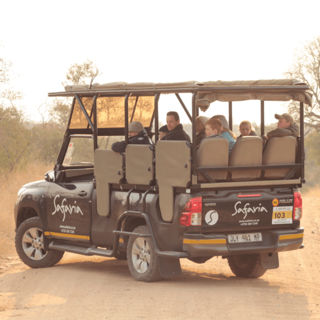 Safaria Open Safari Vehicle Kruger Park