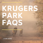 Kruger Park FAQs