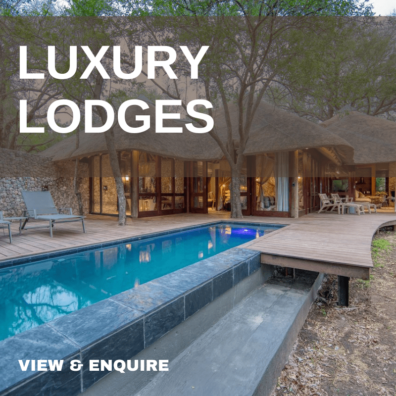 Luxury Lodges