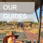 Our Guides