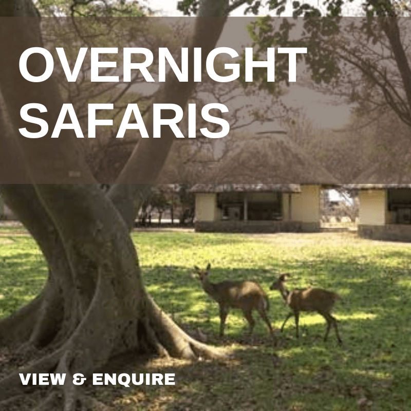 Overnight Safaris Kruger Park