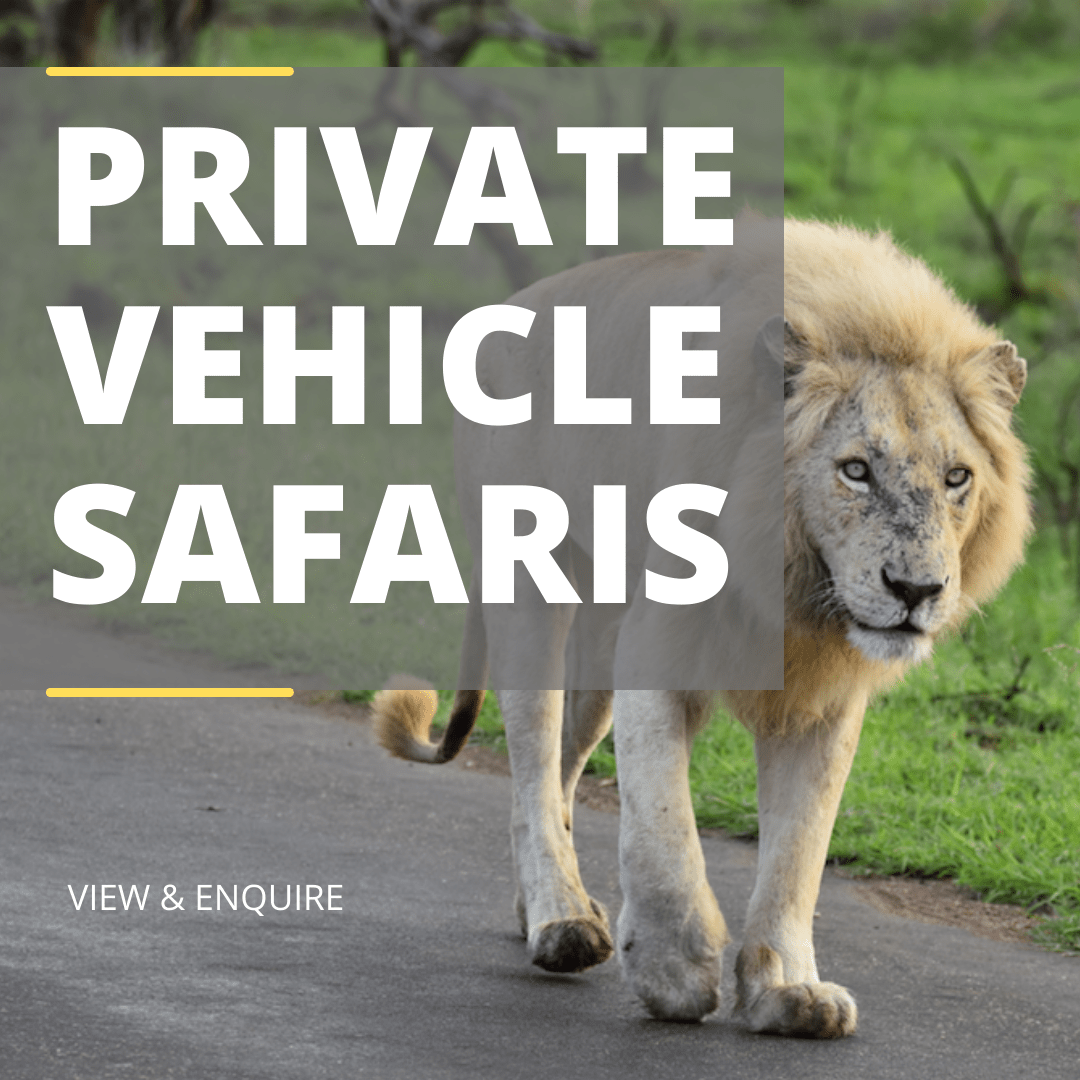 PVT Vehicle Safaris